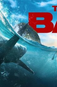 فيلم The Bay 2026 مترجم كامل HD اونلاين