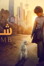 مشاهدة فيلم شهد 2024 كامل HD اونلاين