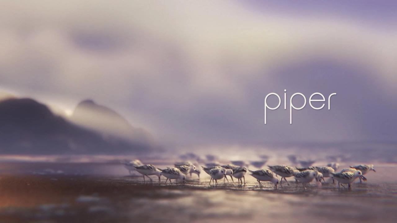 فيلم Piper 2016 مترجم كامل HD اونلاين