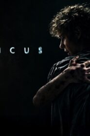 فيلم Leviticus 2026 مترجم كامل HD اونلاين