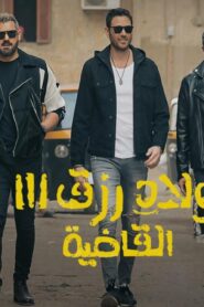 مشاهدة فيلم ولاد رزق 3: القاضية 2024 كامل HD اونلاين