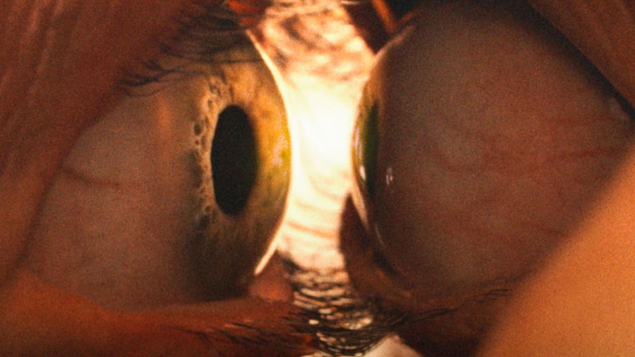 فيلم Together 2025 مدبلج كامل HD اونلاين