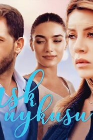 فيلم العشق الصامت 2017 مدبلج كامل HD اونلاين