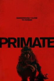فيلم Primate 2025 مترجم كامل HD اونلاين