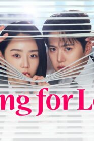 مسلسل Filing for Love الحلقة 9 التاسعة مترجمة اونلاين