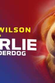 فيلم Charlie the Wonderdog 2025 مترجم كامل HD اونلاين