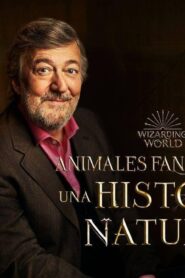فيلم Fantastic Beasts: A Natural History 2022 مترجم كامل HD اونلاين