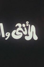 مشاهدة فيلم الأنثى والدبور 1998 كامل HD اونلاين