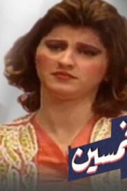مسرحية مراهق فى الخمسين 1996 كاملة HD اونلاين