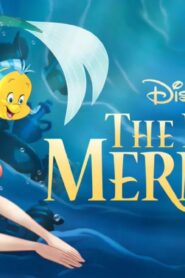 فيلم The Little Mermaid 1989 مدبلج كامل HD اونلاين