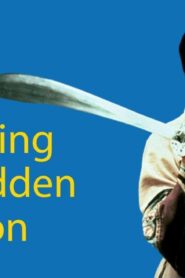 فيلم Crouching Tiger, Hidden Dragon 2013 مترجم كامل HD اونلاين