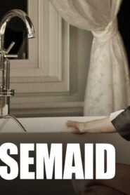 فيلم The Housemaid 2010 مترجم كامل HD اونلاين