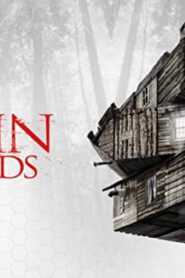 فيلم The Cabin in the Woods 2011 مترجم كامل HD اونلاين