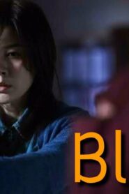 فيلم Blind 2011 مترجم كامل HD اونلاين