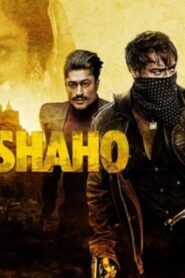فيلم Baadshaho 2017 مترجم كامل HD اونلاين