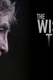 فيلم The Wisdom Of Trauma 2021 مترجم كامل HD اونلاين