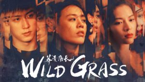 فيلم Wild Grass 2020 مترجم كامل HD اونلاين