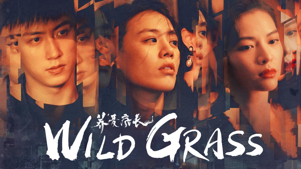 فيلم Wild Grass 2020 مترجم كامل HD اونلاين