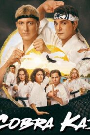 مسلسل Cobra Kai الموسم السادس الحلقة 15 الخامسة عشر والاخيرة مترجمة اونلاين