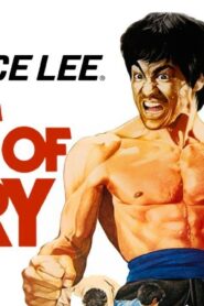 فيلم Fist of Fury 1972 مترجم كامل HD اونلاين