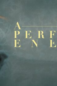 فيلم A Perfect Enemy 2020 مترجم كامل HD اونلاين