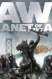 فيلم Dawn of the Planet of the Apes 2014 مترجم كامل HD اونلاين