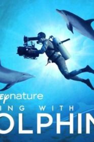 فيلم Diving With Dolphins 2020 مترجم كامل HD اونلاين