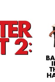فيلم Sister Act 2 Back in the Habit 1993 مترجم كامل HD اونلاين