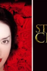 فيلم Strange Circus 2005 مترجم كامل HD اونلاين
