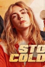 فيلم Stone Cold Fox 2025 مترجم كامل HD اونلاين