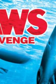 فيلم Jaws The Revenge 1987 مترجم كامل HD اونلاين