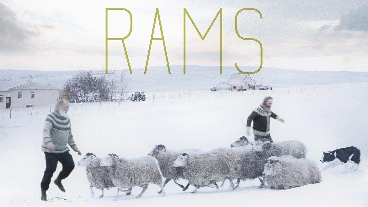 فيلم Rams 2015 مترجم كامل HD اونلاين