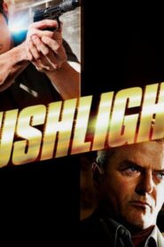 فيلم Rushlights 2013 مترجم كامل HD اونلاين
