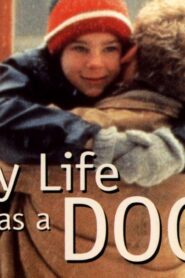 فيلم My Life As A Dog 1985 مترجم كامل HD اونلاين