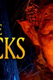 فيلم The Sticks 2025 مترجم كامل HD اونلاين