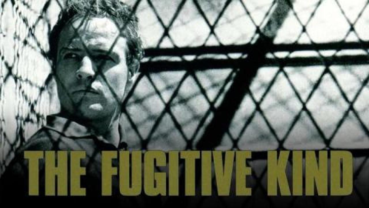 فيلم The Fugitive Kind 1960 مترجم كامل HD اونلاين