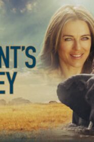 فيلم An Elephant’s Journey 2017 مترجم كامل HD اونلاين