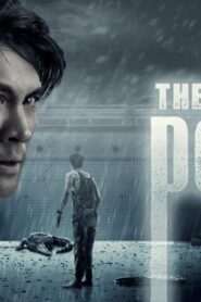 فيلم The Pool 2018 مترجم كامل HD اونلاين