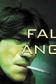 فيلم Fallen Angels 1995 مترجم كامل HD اونلاين