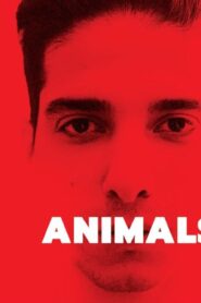 فيلم Animals 2021 مترجم كامل HD اونلاين