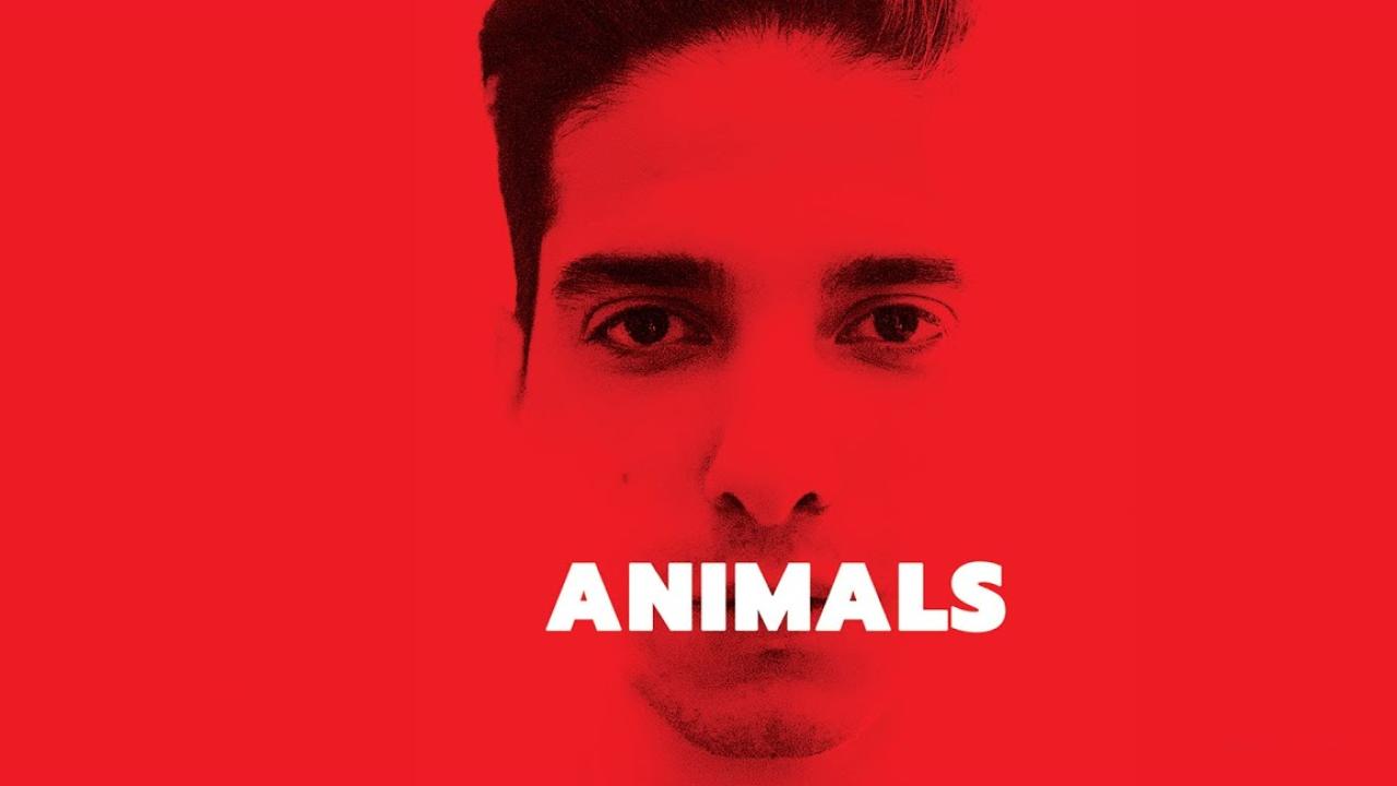 فيلم Animals 2021 مترجم كامل HD اونلاين