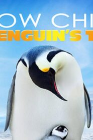 فيلم Snow Chick A Penguin’s Tale 2015 مترجم كامل HD اونلاين