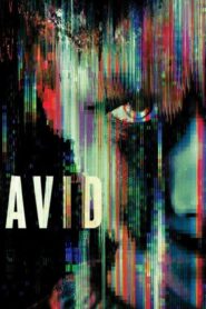 فيلم Dear David 2023 مترجم كامل HD اونلاين