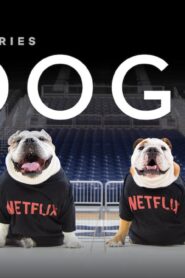 مسلسل Dogs الموسم الثاني الحلقة 2 الثانية مترجمة اونلاين