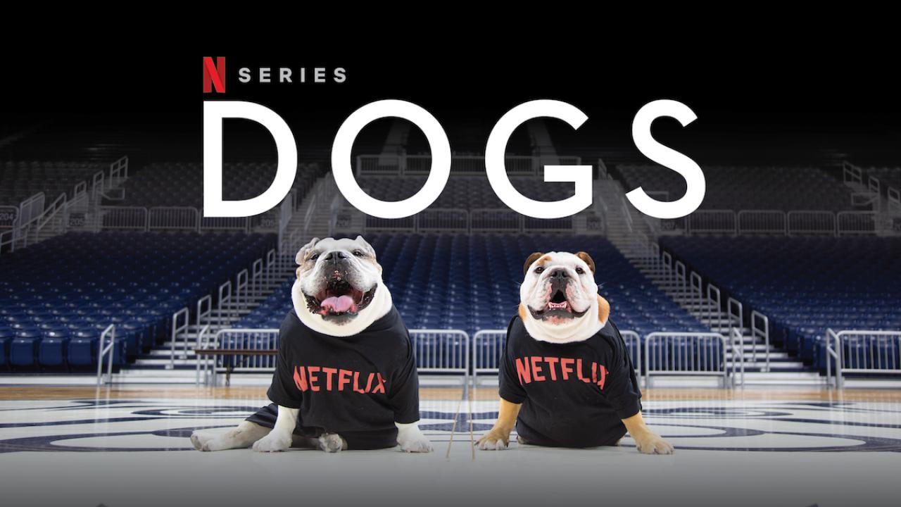 مسلسل Dogs الموسم الثاني الحلقة 3 الثالثة مترجمة اونلاين