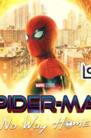 فيلم Spider-Man: No Way Home 2021 مترجم كامل HD اونلاين