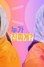 مسلسل Miss Night and Day الحلقة 13 الثالثة عشر مترجمة اونلاين