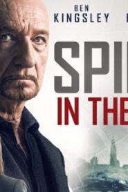 فيلم Spider in the Web 2019 مترجم اونلاين