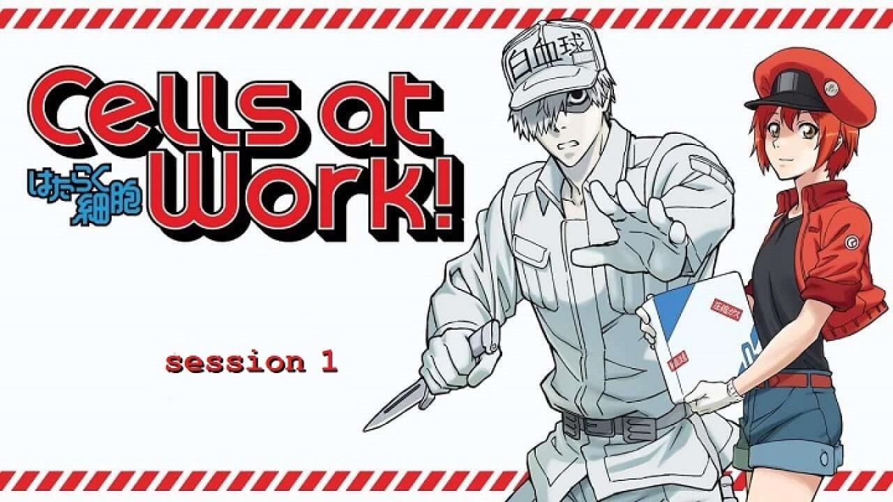 انمي Hataraku Saibou الموسم الاول الحلقة 10 العاشرة مترجمة اونلاين