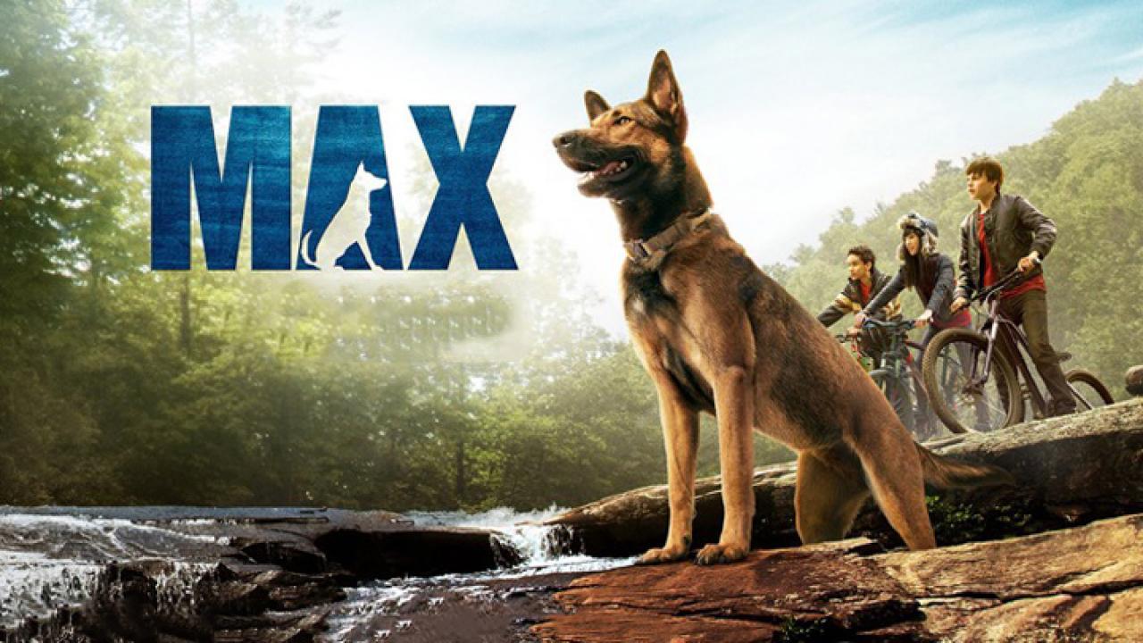 فيلم Max 2015 مترجم كامل HD اونلاين